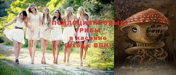 прущая мука Иннополис