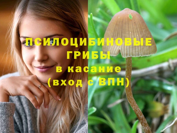стафф Зерноград
