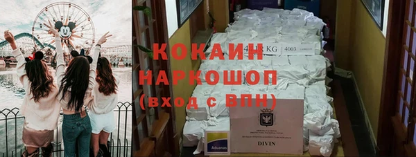 стафф Зерноград