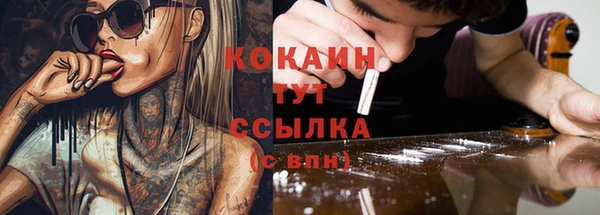 Альфа ПВП Инсар