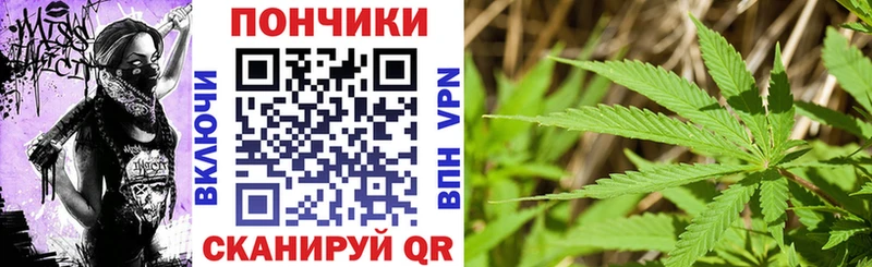 Каннабис план Луховицы
